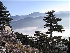 фото "Above the Clouds"
