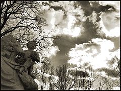 фото "The Watchers"