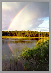 фото "Радуга"