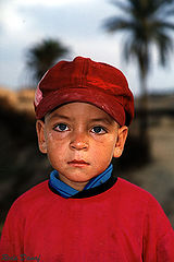 фото "Blue Eyes"