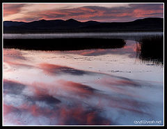 photo "rays of morning or evening sunshine"