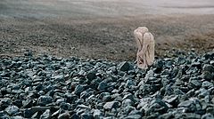 photo "Pilgrim"