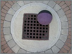 photo "The Ball"