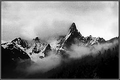 photo "Alpine Conditions"