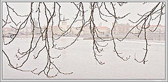 photo "Untitled photo"