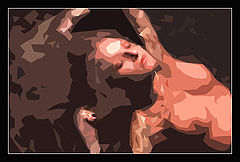 photo "Lady in Brown"