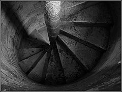 photo "nautilus"