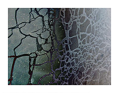 photo "Synapsis #9"