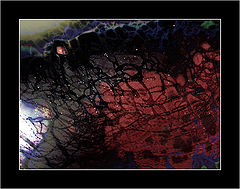 photo "Synapsis #10"