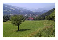фото "Midsummer"