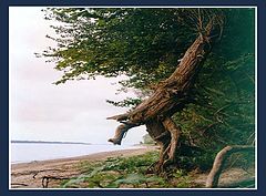 photo "Untitled photo"