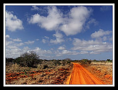 photo "Yellow Brick Road, the African Way"