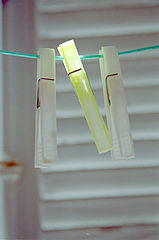 photo "Sunny"