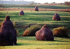 фото "Maramures landscape V"