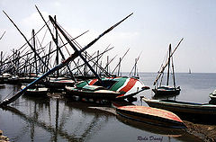 фото "Masts"