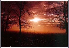 photo "Untitled photo"