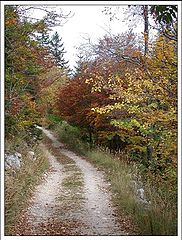 фото "Colors of Autumn"