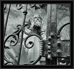 фото "Behind Bars"