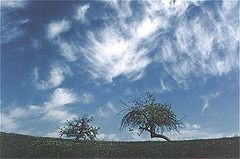 фото "Maramures landscape VI"