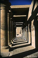 фото "Columns # 2"