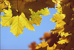 фото "October"