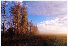 photo "Untitled photo"