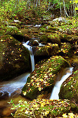 фото "The Autumn is coming"