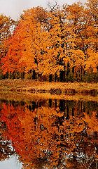 photo "Autumn. Afterglow."