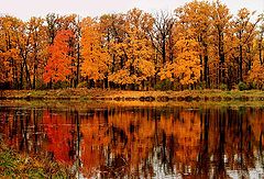 photo "Autumn. Again."