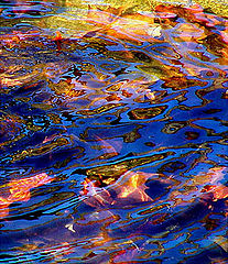 photo "Autumn "Waters"..."