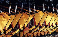 фото "Sails"