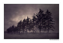 photo "Dawn"
