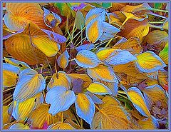 фото "Leaves 1c"