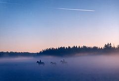 photo "Untitled photo"