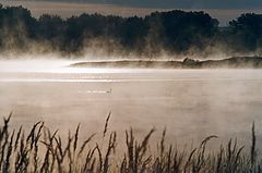 photo "Untitled photo"