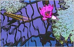 фото "Checkered water 1"