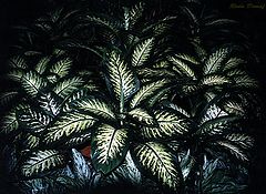фото "Leaves"