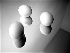 photo "Untitled, n.d."