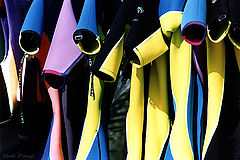 фото "For The Divers"