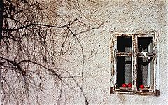 фото "At the end of autumn"