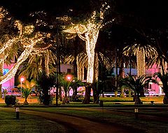 photo "Night lights"