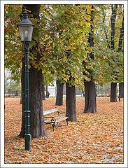 фото "In a Park"