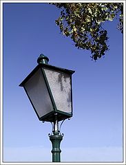 photo "A Lantern and a Tree"
