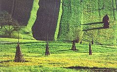 фото "Maramures landscape VIII"