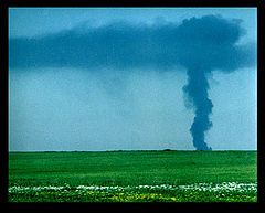 photo "Untitled photo"