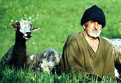 фото "Transsylvanian shepherd"
