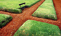 photo "Geometry in the park"