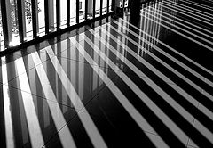 photo "Black-white reflection"