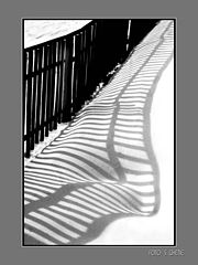 photo "fence"