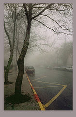 photo "Untitled photo"